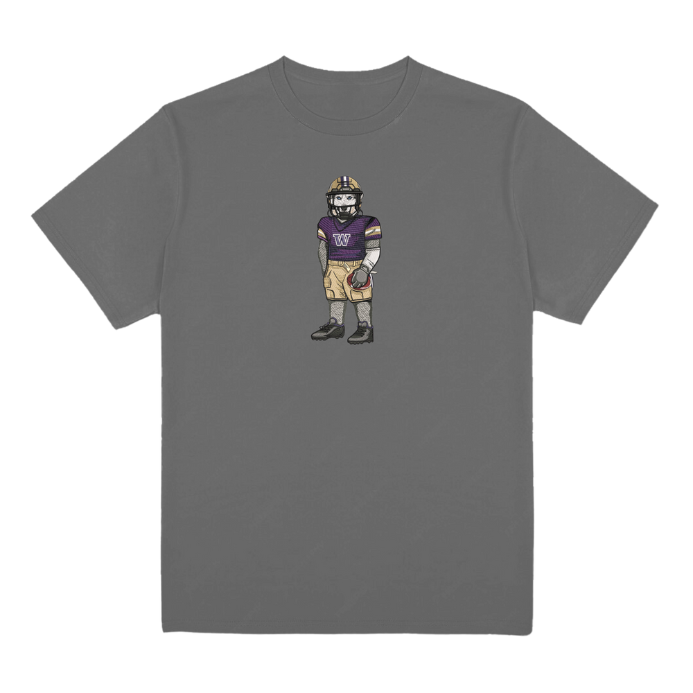 University of Washington Football Embroidered Tee