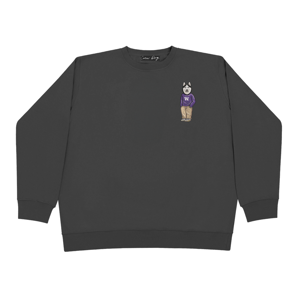 University of Washington Sweater Crewneck