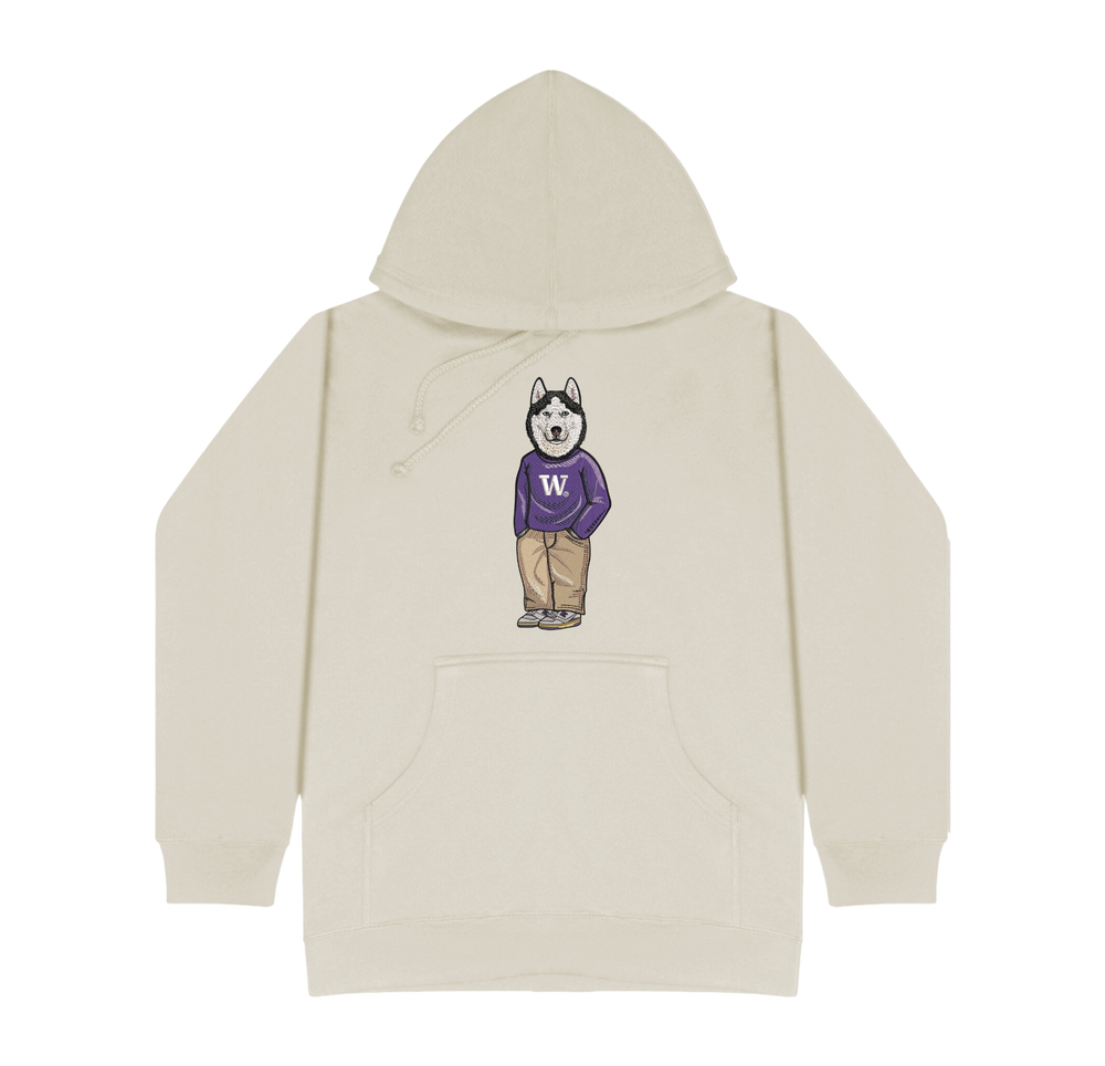 University of Washington Sweater Hoodie