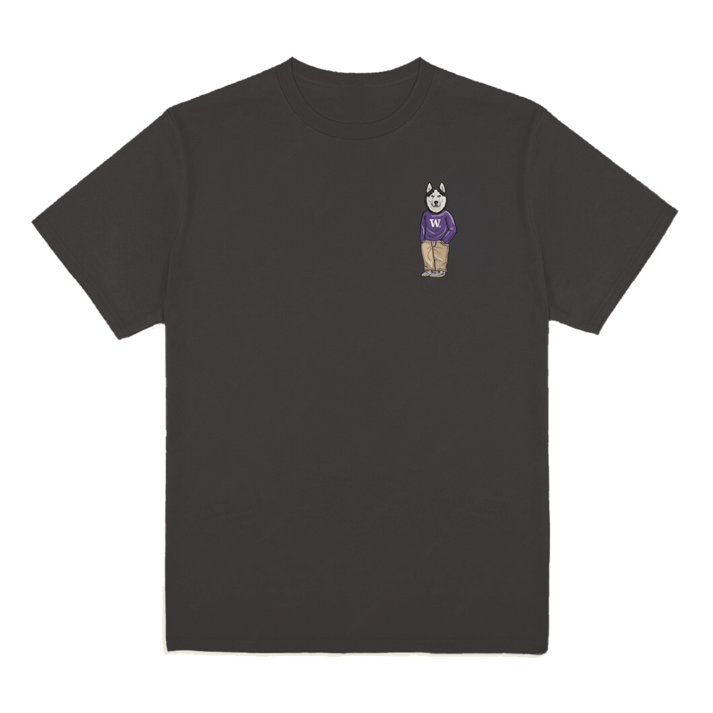 University of Washington Sweater Tee