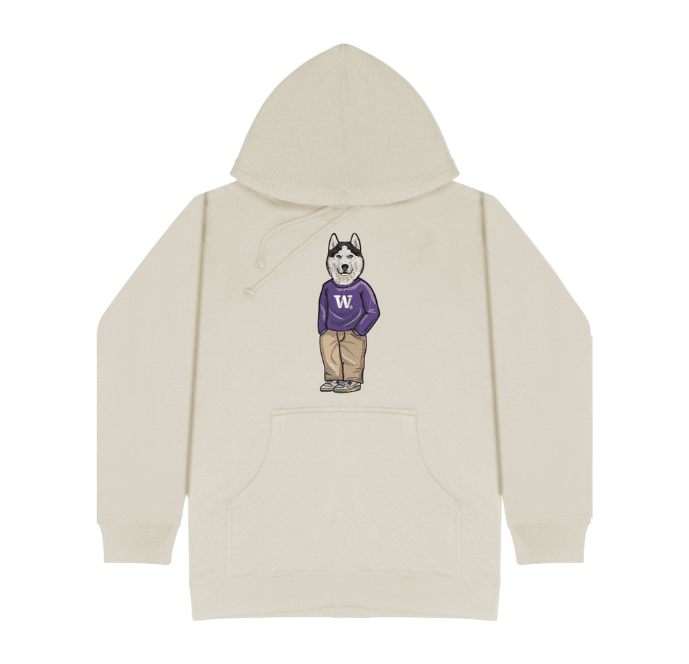 University of Washington Sweater Hoodie