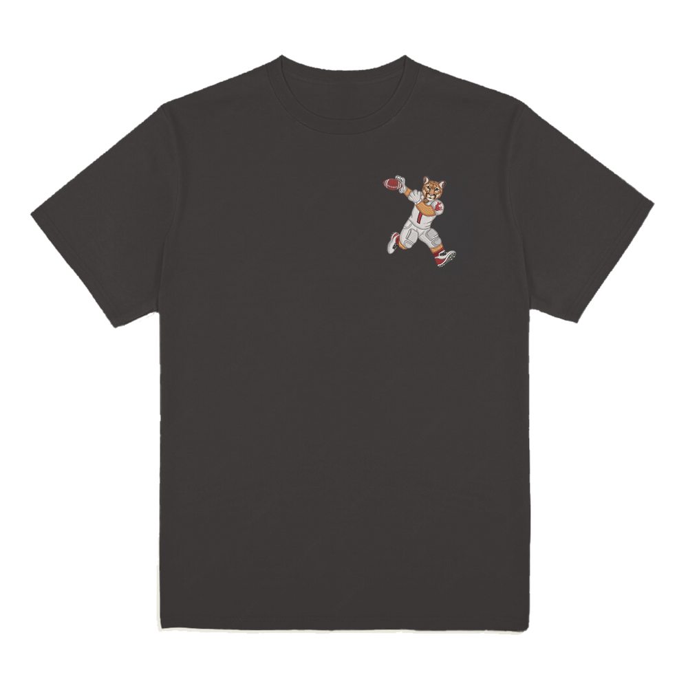 
                      
                        Washington State University Football Tee
                      
                    