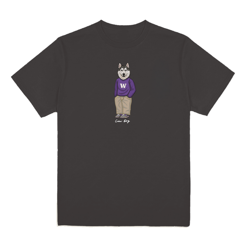 University of Washington Sweater Tee