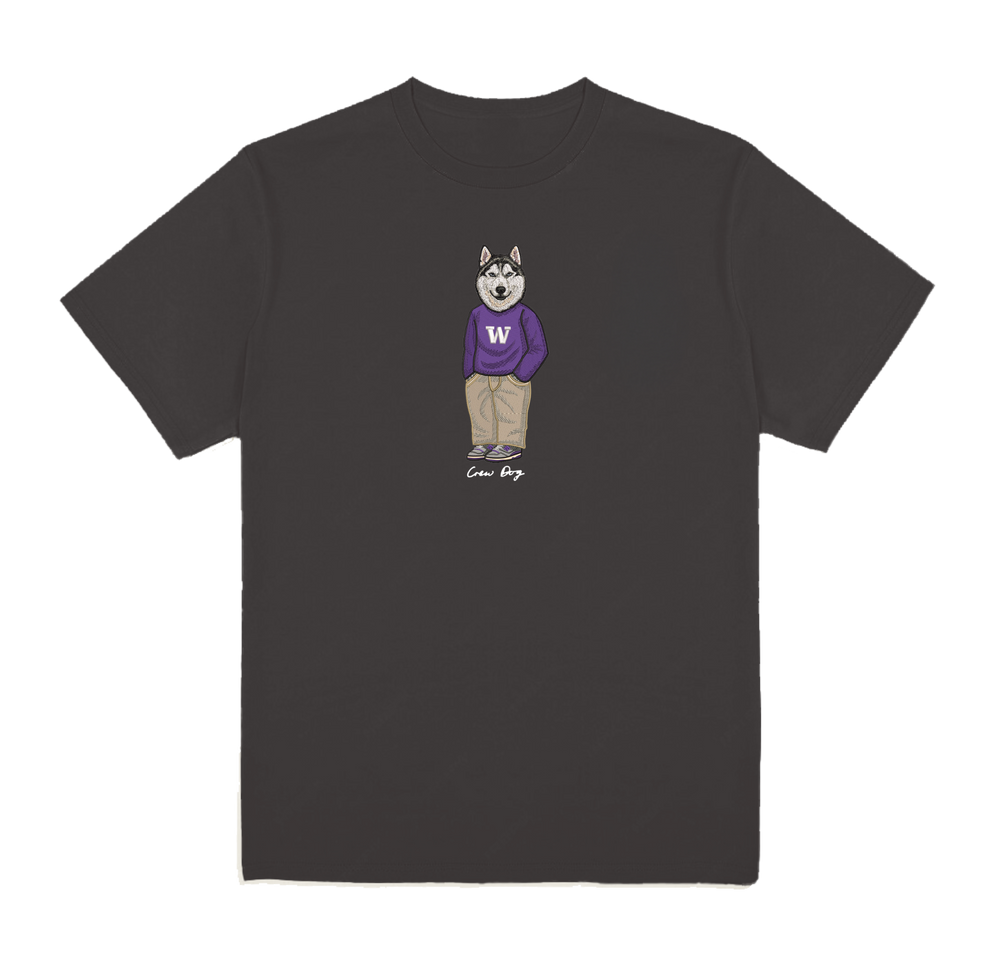 University of Washington Sweater Tee